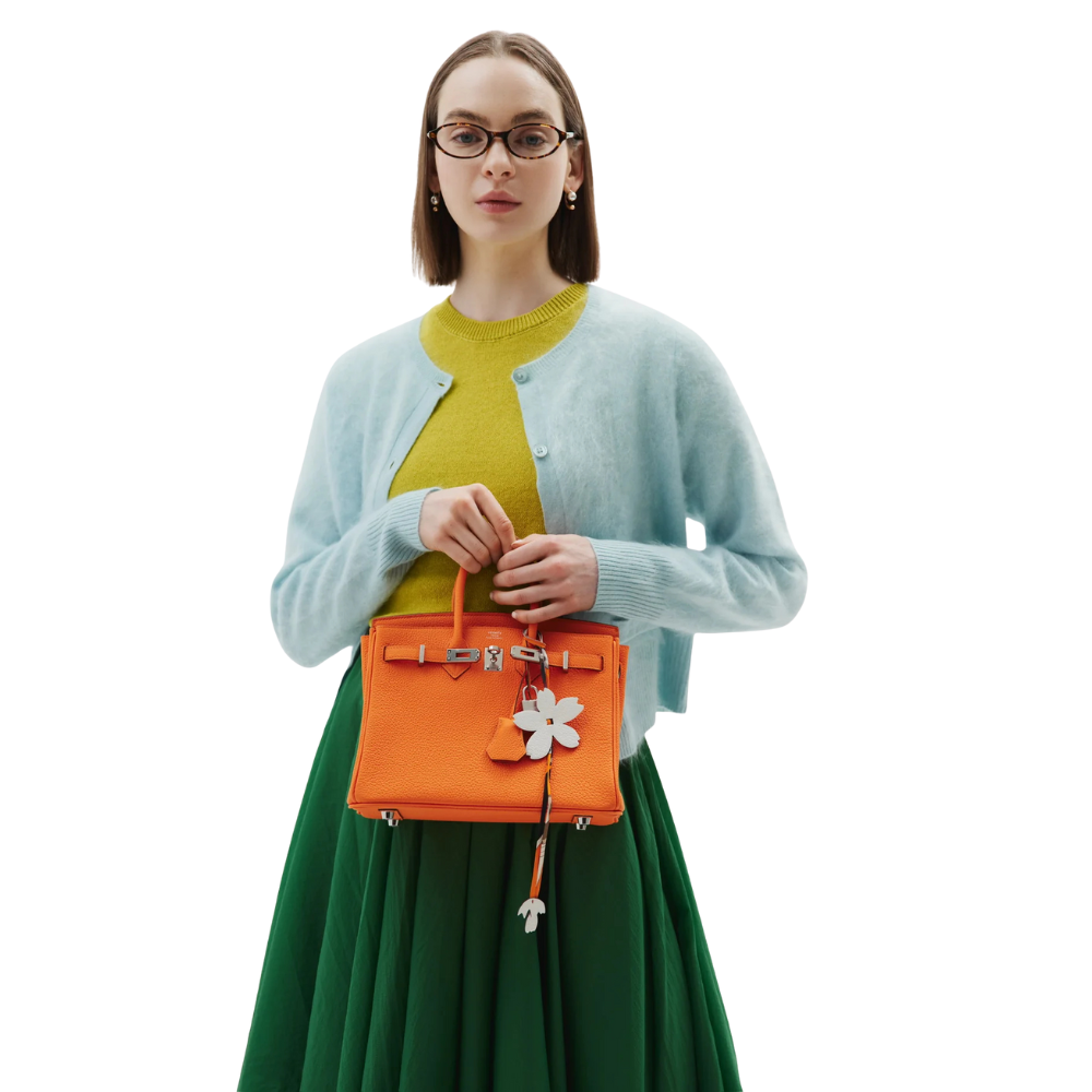 Hermes Birkin 25 Bag Togo Flame Orange 25Cm