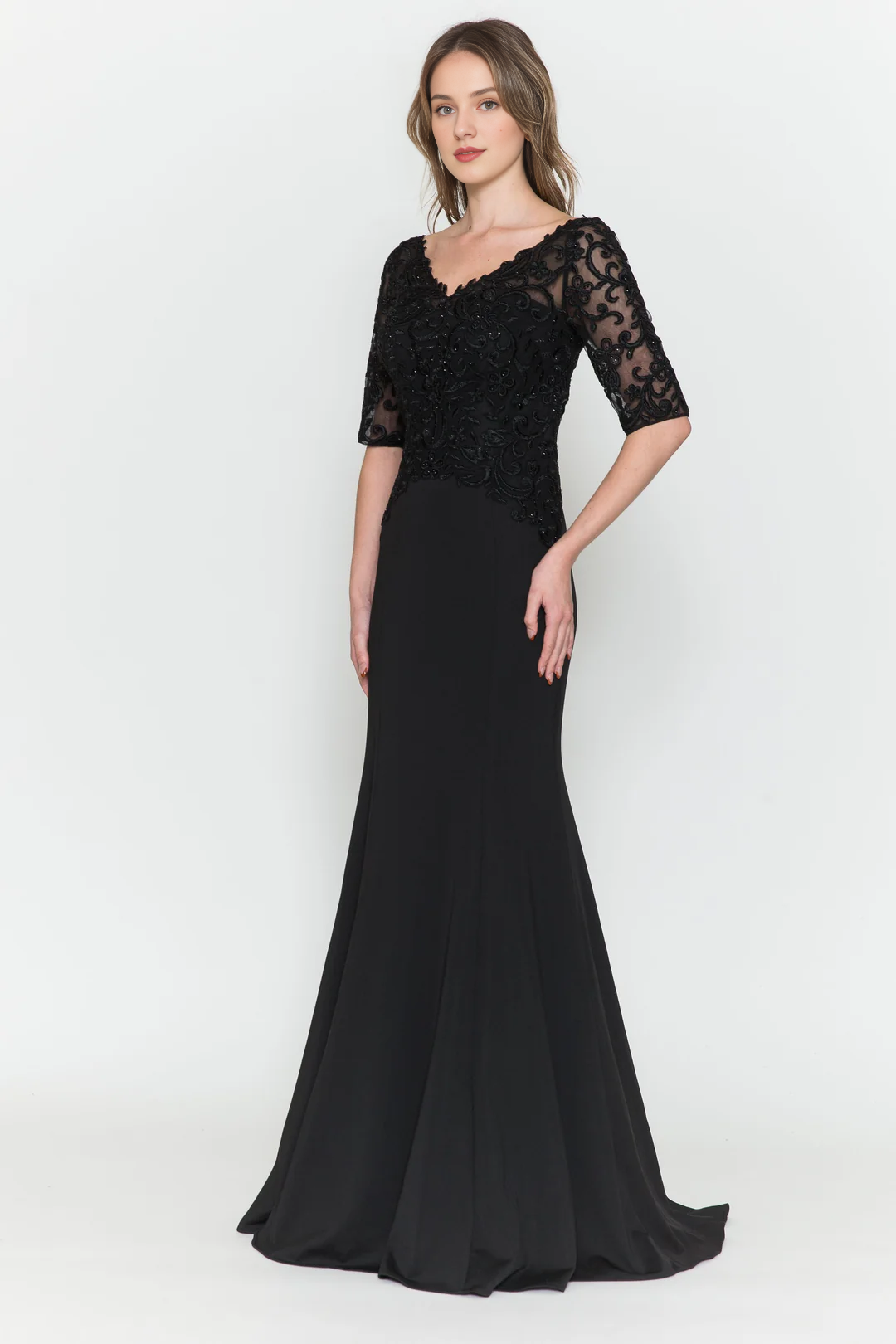 Transparent half sleeve long V-neck embroidered fitted dress