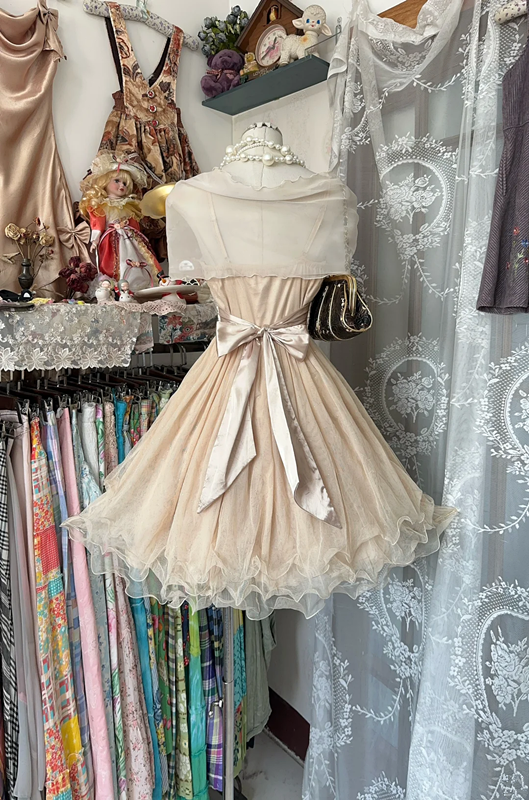 Light Brown Vintage Backless Fitted A-Line Mini Dress, Ball Gown R6212