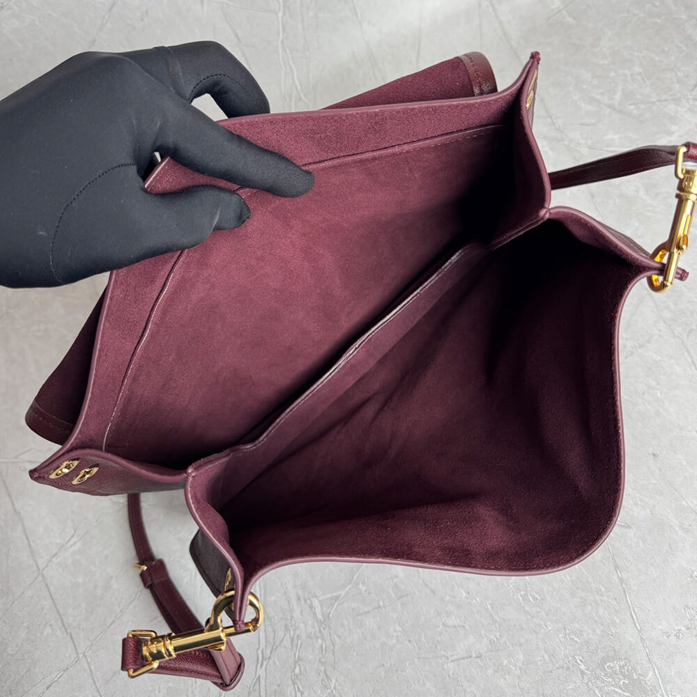 CELINE SOFT TRIOMPHE BESACE IN SUPPLE SHINY LAMBSKIN(HIGH-END GRADE)