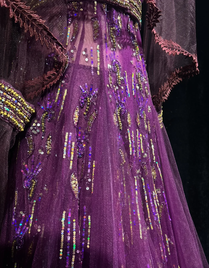 Gorgeous Purple V Neck Tulle Beaded A Line Long Evening Dress Birthday Party Gown SP1798