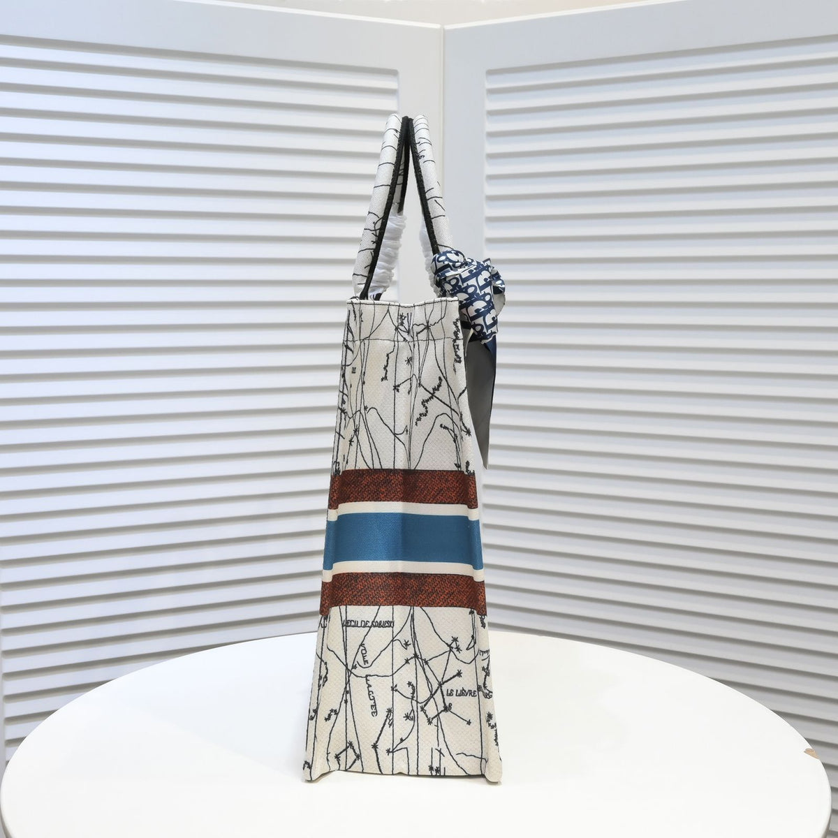 DIOR BOOK TOTE BAG