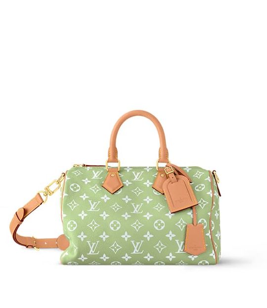 LV Speedy P9 Bandouliere 30(HIGH-END GRADE)