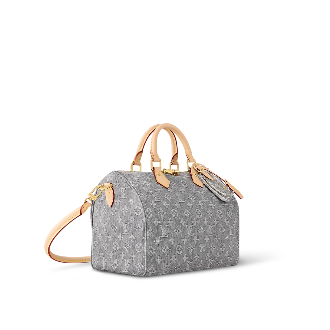 Louis Vuitton M13344 Speedy Soft 30