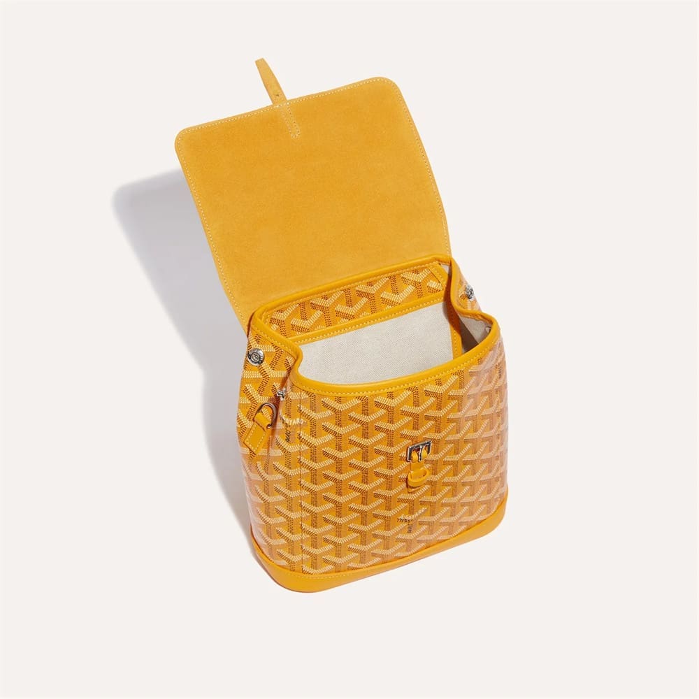 Goyard Alpin Mini Backpack