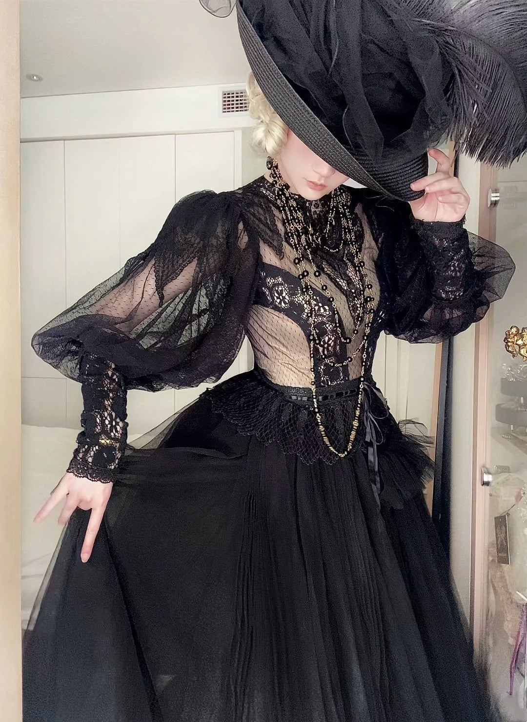 Dark Gothic Lace Tulle High Neck Long Sleeve Floor-length Ballgown Victorian Gothic Evening·Theme Party Dress gh6741