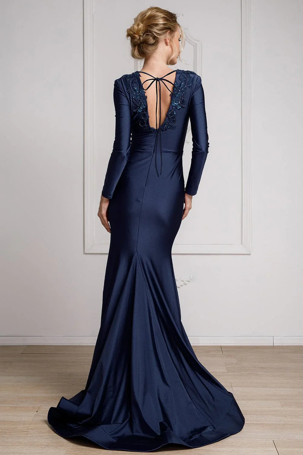 Embroidered applique long sleeved transparent V-neck dress