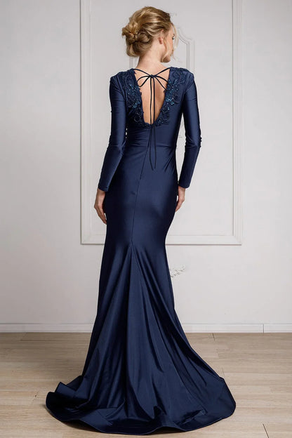 Embroidered applique long sleeved transparent V-neck dress