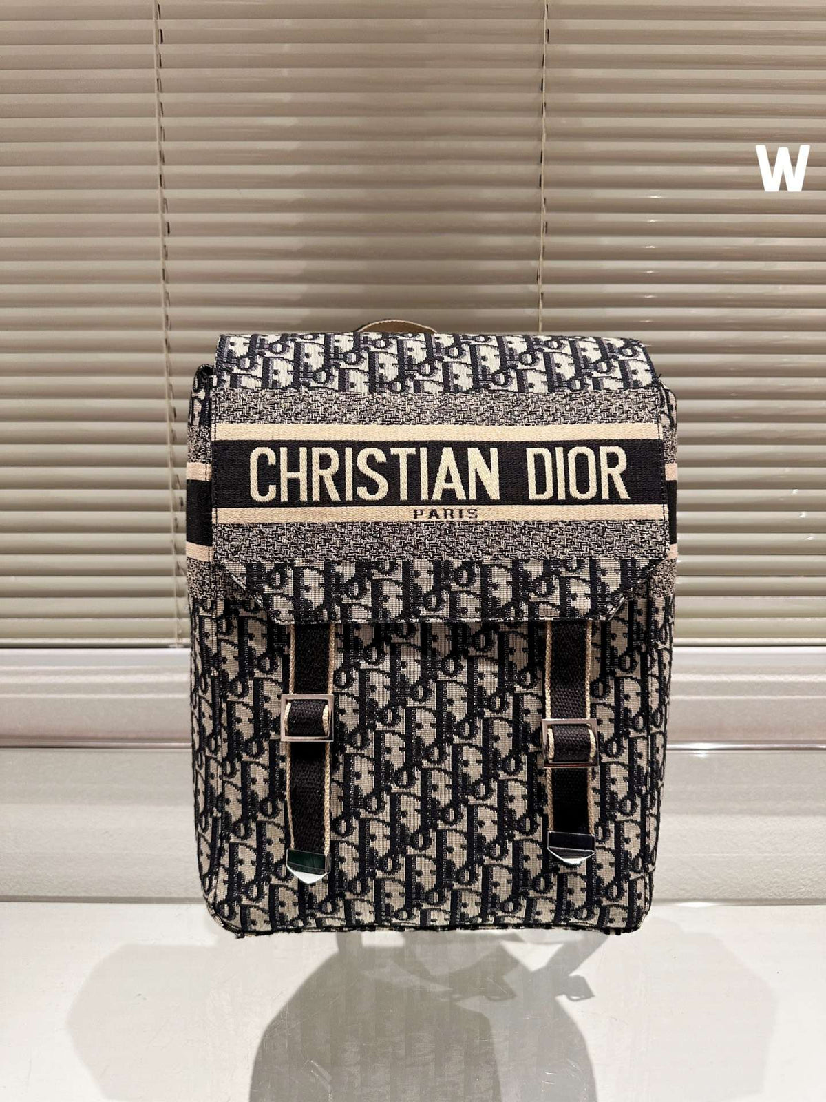 BALO Dior Backpack Blue Dior Oblique Embroidery