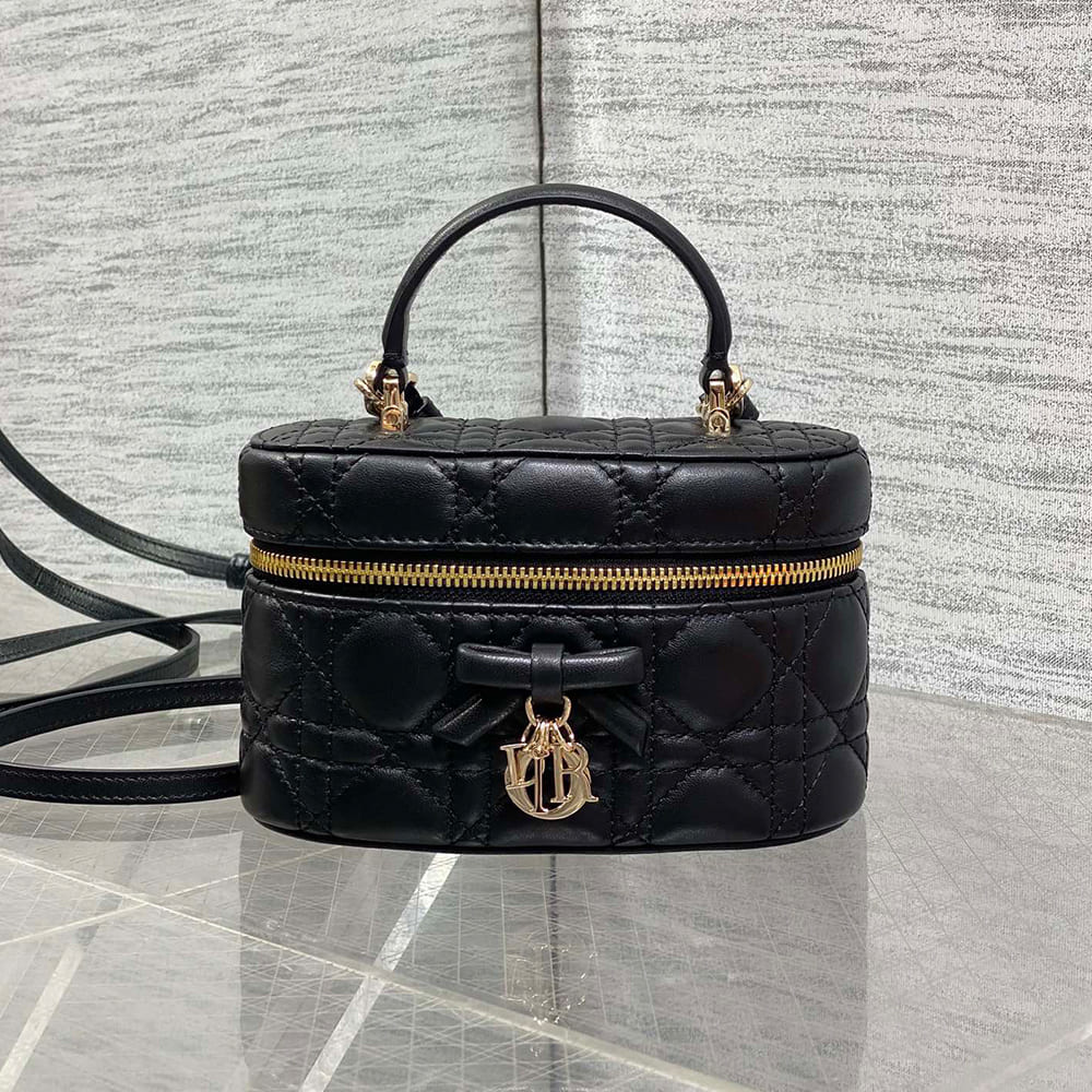 Dior Mini-Kosmetiktasche(HIGH-END GRADE)