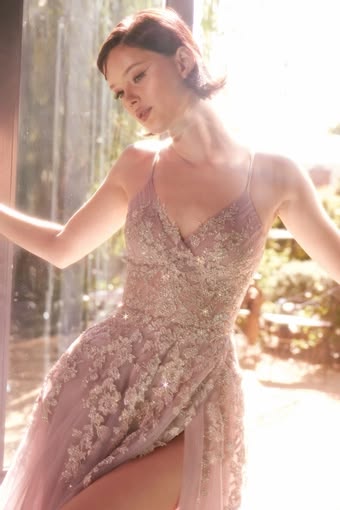 Vintage Spaghetti Strap Prom Dress Lace Applique Tulle A-Line Formal Evening Gown TP5800