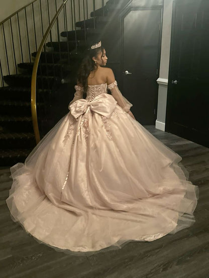 Appliques Tulle Quinceanera Dress Ball Gown Sweet 16 Dress