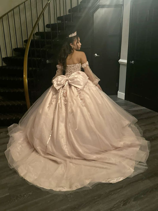 Appliques Tulle Quinceanera Dress Ball Gown Sweet 16 Dress
