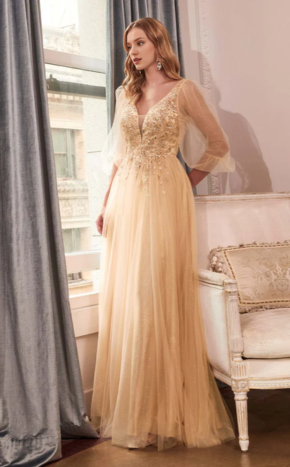 Deep V-neck tight corset lace applique mesh skirt body and floor length Prom dress