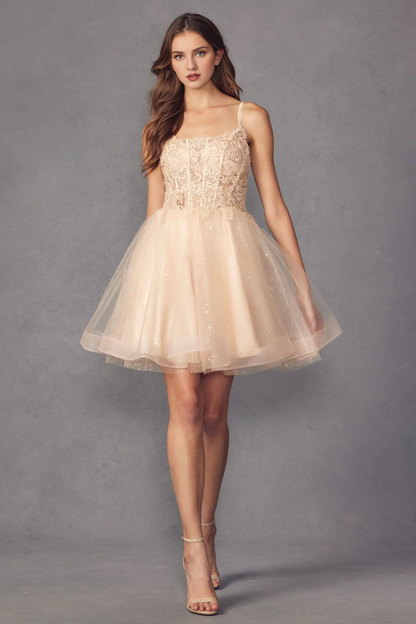 Embroidered applique short sleeveless tight corset dress