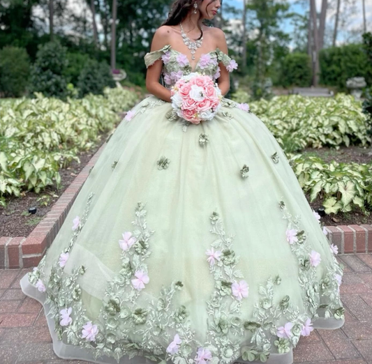 Charming Off Shoulder Princess Ball Gown Elegant Quinceanera Dress Sweet 16 Dress