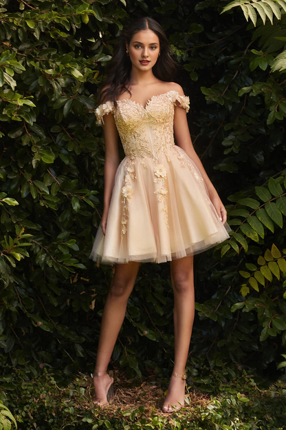 Short off shoulder chiffon dress with floral decals and embellishments