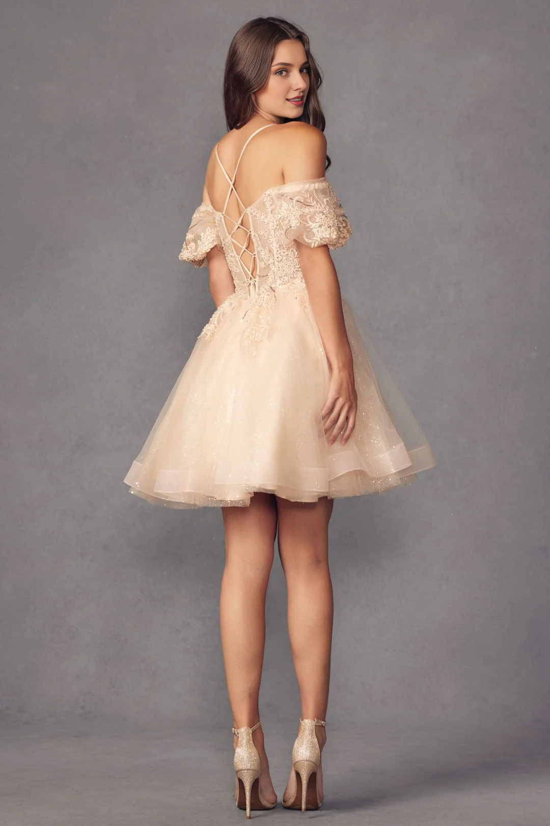 Embroidered lace applique short off shoulder short sleeved sparkling dress