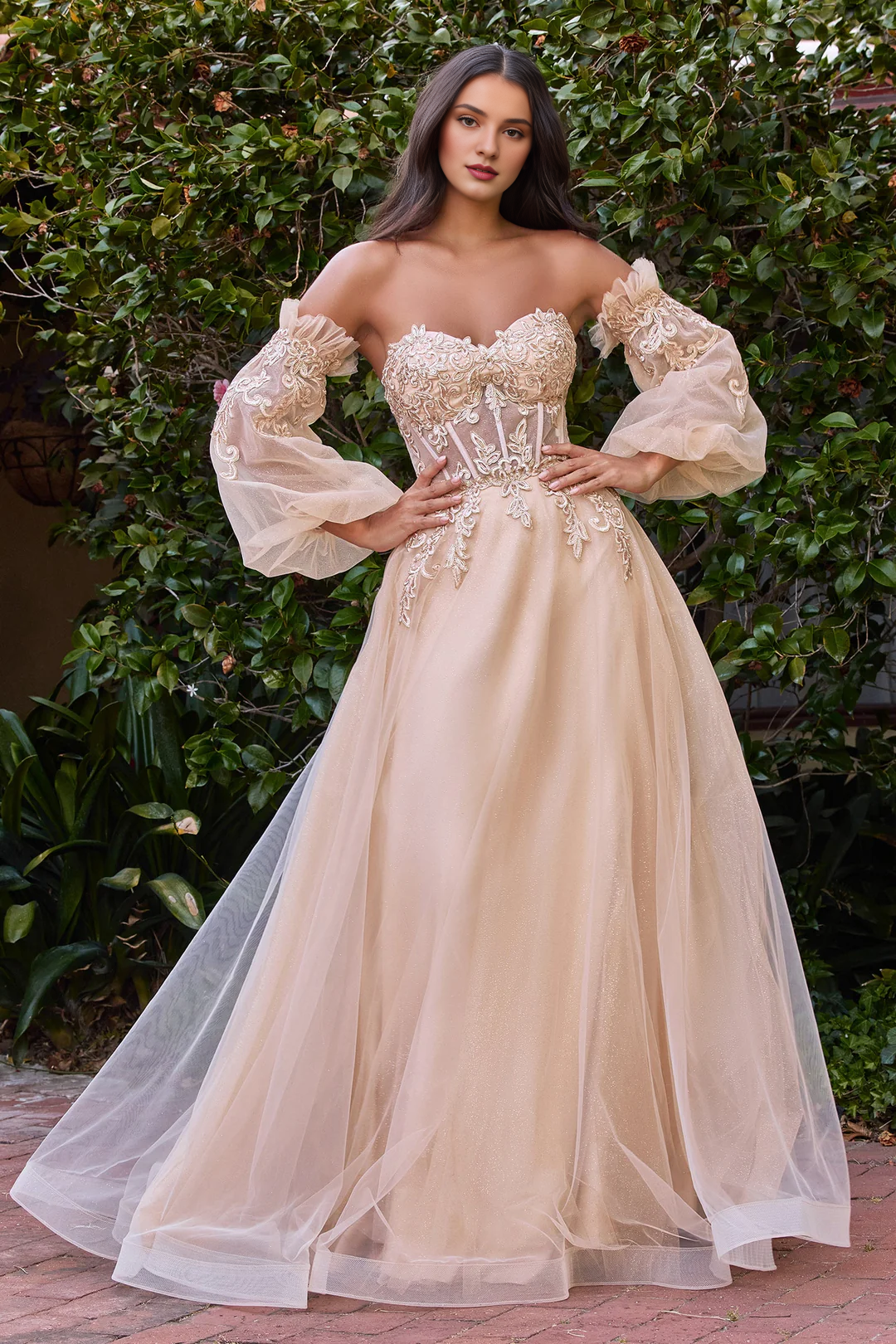 Lace applique long corset dress