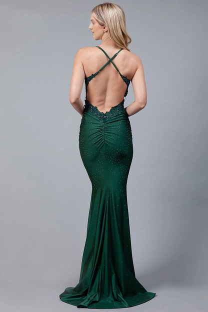 Beaded lace applique long sleeveless dress
