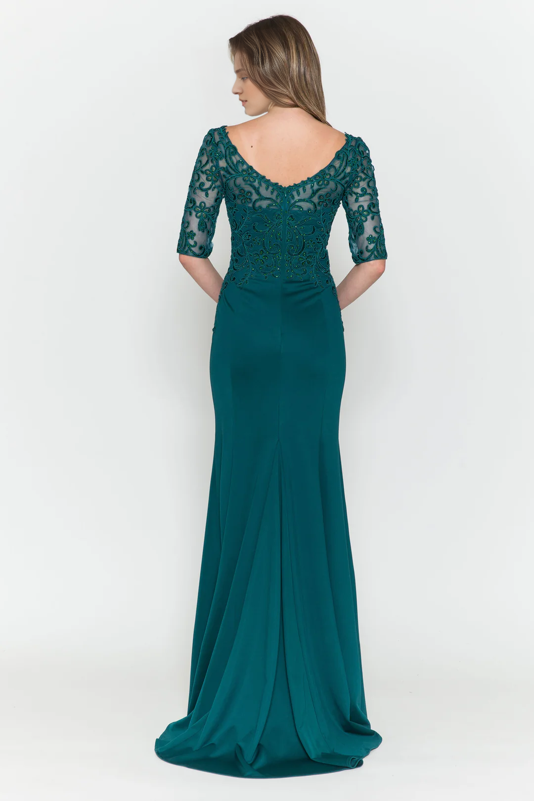 Transparent half sleeve long V-neck embroidered fitted dress