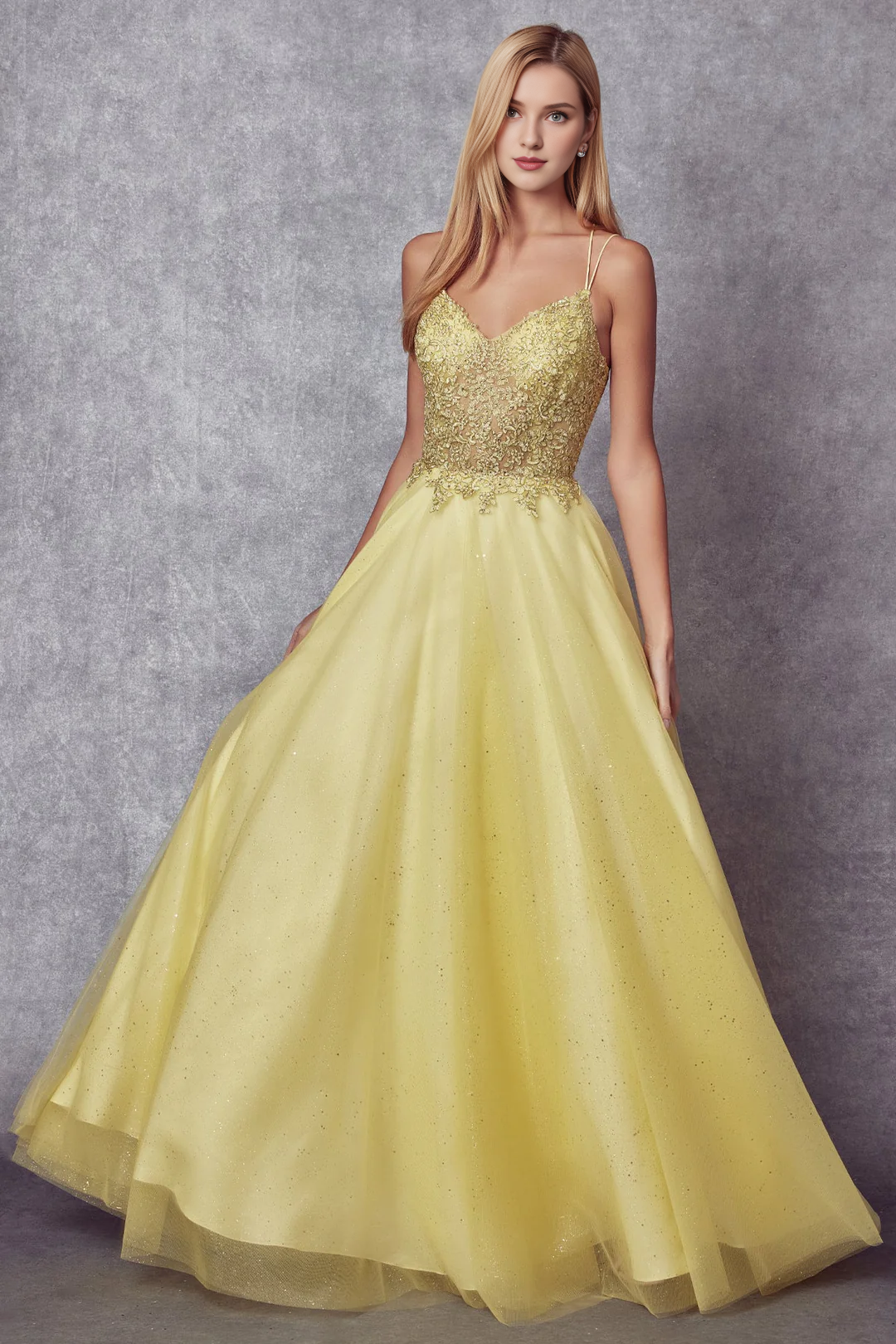 Long sleeveless A-line skirt lace up dress