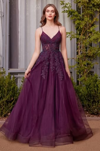 Vintage Spaghetti Strap Prom Dress Lace Applique Tulle A-Line Formal Evening Gown TP5800