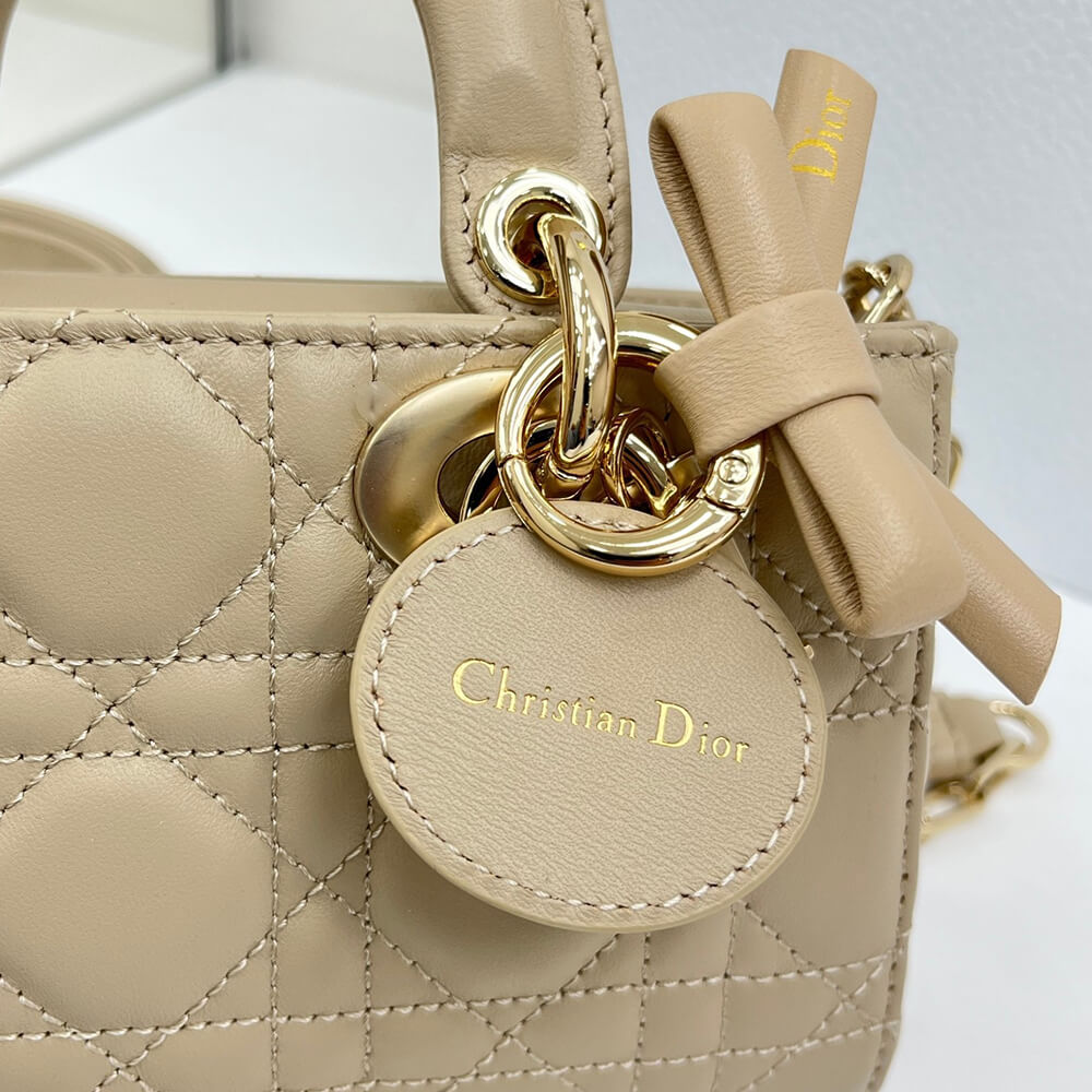 Dior Mini Lady D-Joy Bag(HIGH-END GRADE)