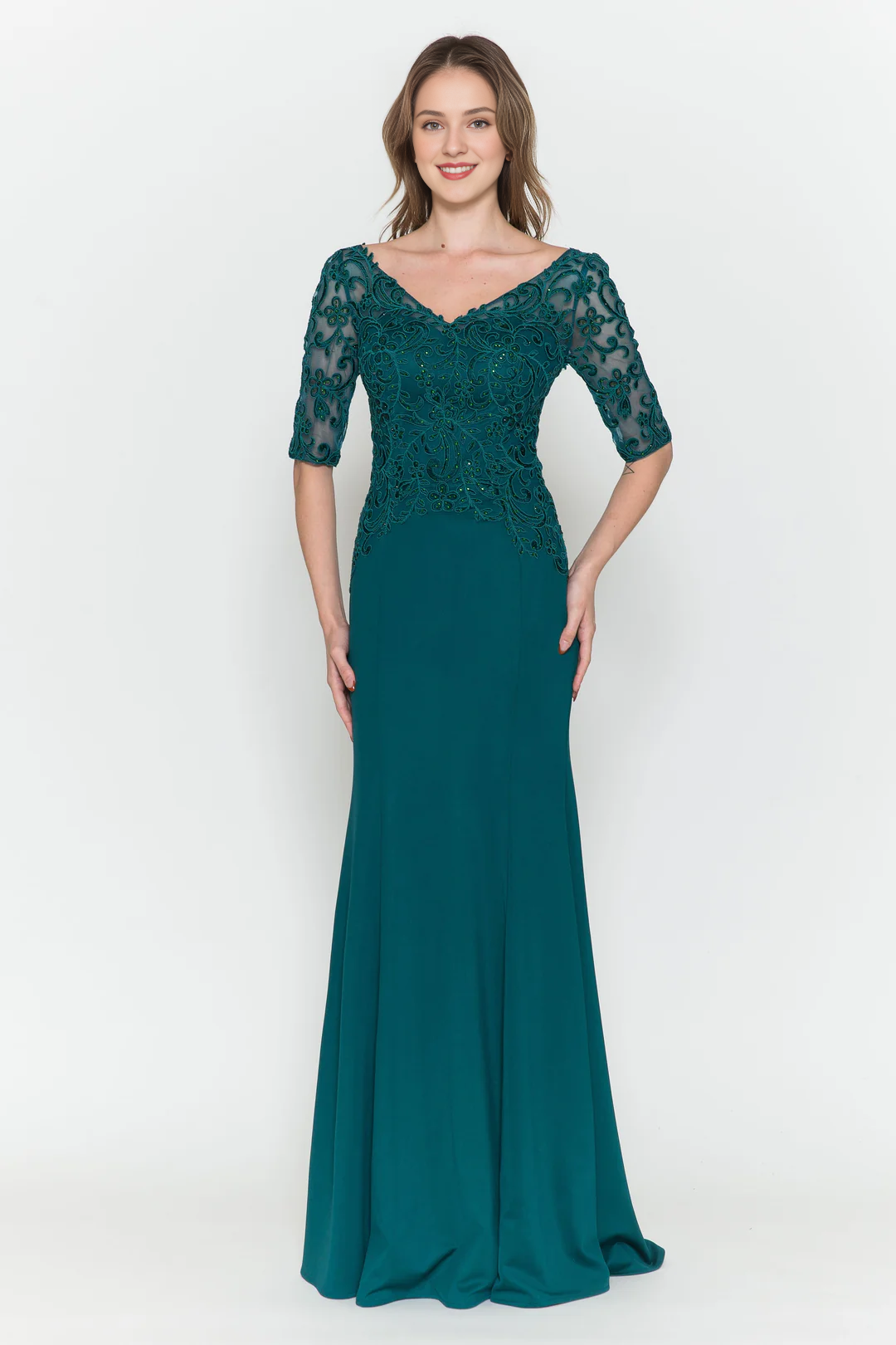 Transparent half sleeve long V-neck embroidered fitted dress