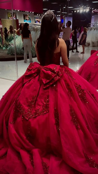 Princess Quinceanera Dresses with Big Bow Sweet 15 16 Ball Gown