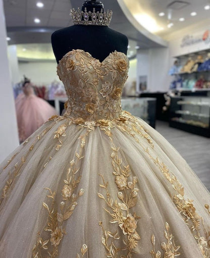 Quinceanera Dress Prom Ball Gowns Applique Corset Back Prom Sweet 16 Dress