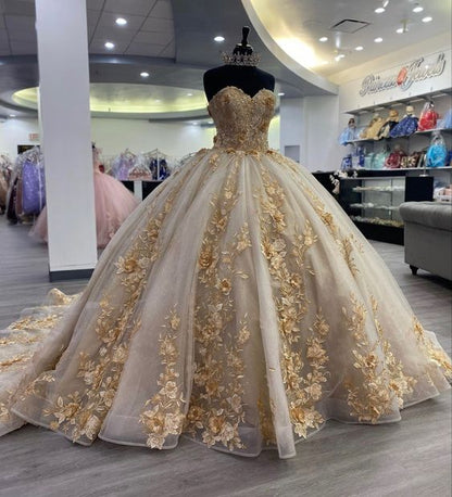 Quinceanera Dress Prom Ball Gowns Applique Corset Back Prom Sweet 16 Dress