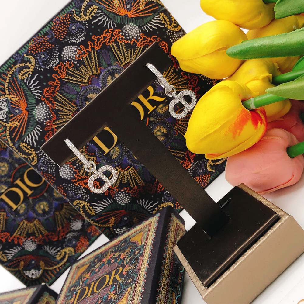 DIOR Clair D Lune Earrings