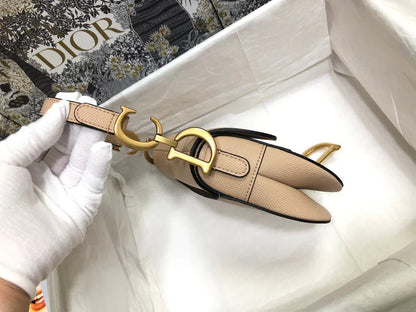 Dior Saddle Small Nude Color 21x18x5 cm