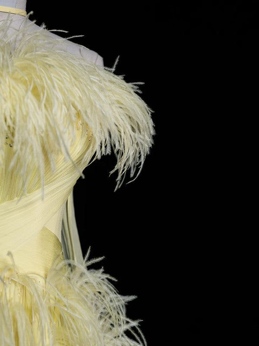 Luxury Yellow Off The Shoulder Evening Gown Chiffon Feathers Party Prom Dress With Beaded cc2430