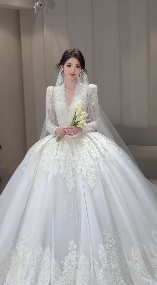 Timeless Ball Gown V Neck Tulle Lace Long Sleeves With Train Long Wedding Dresses C4068