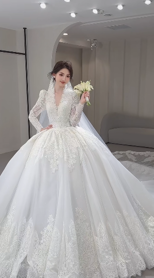 Timeless Ball Gown V Neck Tulle Lace Long Sleeves With Train Long Wedding Dresses C4068