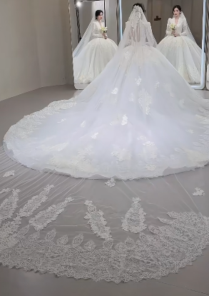 Timeless Ball Gown V Neck Tulle Lace Long Sleeves With Train Long Wedding Dresses C4068
