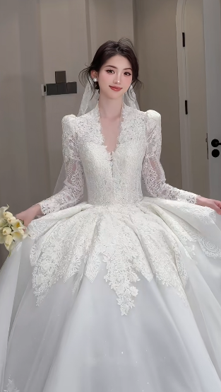 Timeless Ball Gown V Neck Tulle Lace Long Sleeves With Train Long Wedding Dresses C4068