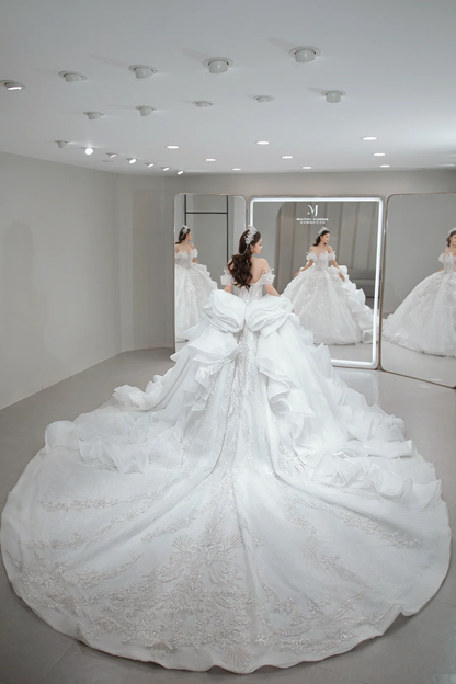 Timeless Ball Gown Off The Shoulder Tulle Sequin Long Wedding Dresses C4082