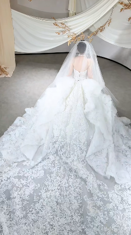 Timeless White Ball Gown Starpless Tulle Lace With Veil Long Wedding Dresses C4113