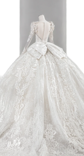 Timeless Ball Gown Tulle Lace Sequin Long Sleeves Long Wedding Dresses C4137