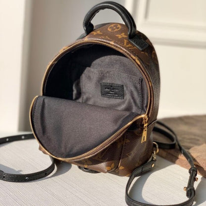 Louis Vuitton Palm Springs Mini Backpack Brown 22Cm M44873