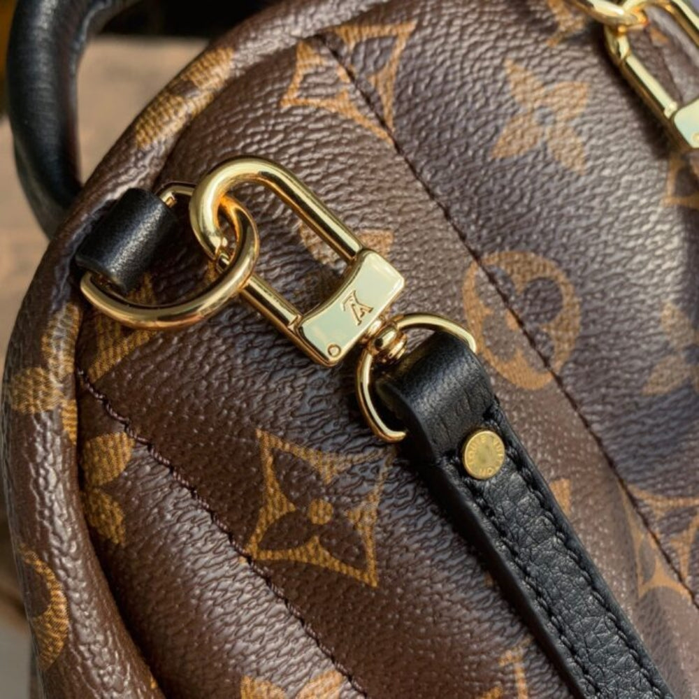 Louis Vuitton Palm Springs Mini Backpack Brown 22Cm M44873