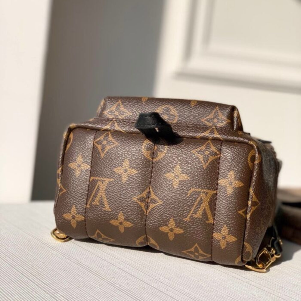 Louis Vuitton Palm Springs Mini Backpack Brown 22Cm M44873