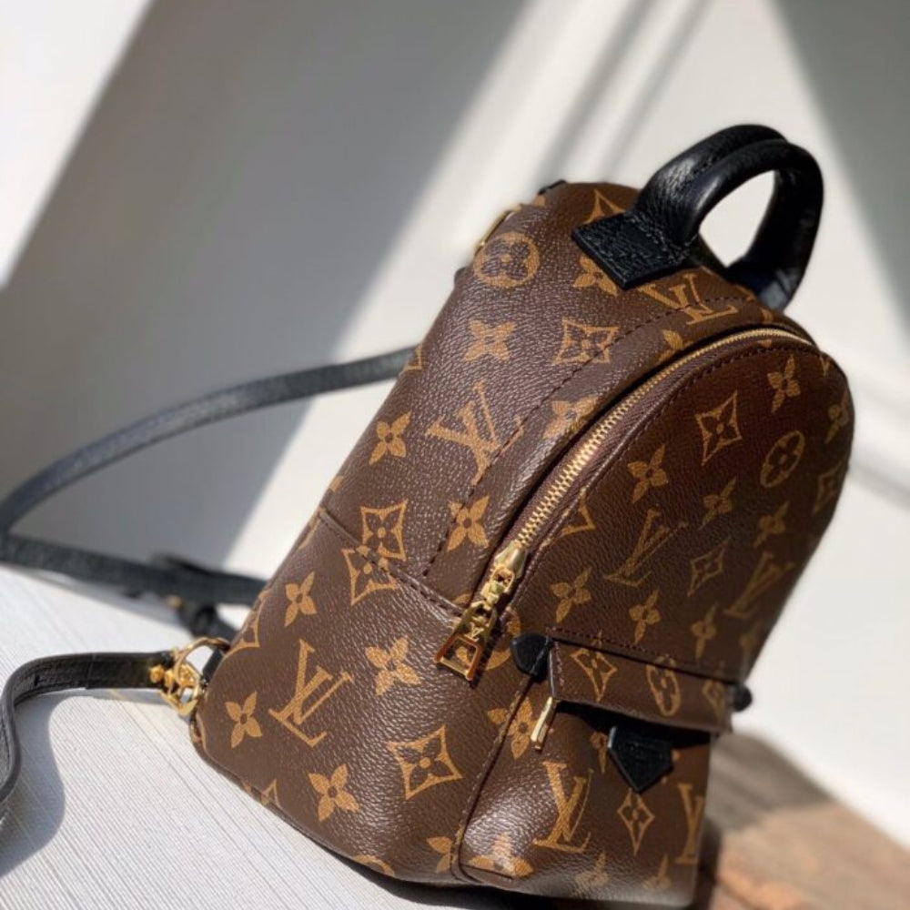Louis Vuitton Palm Springs Mini Backpack Brown 22Cm M44873