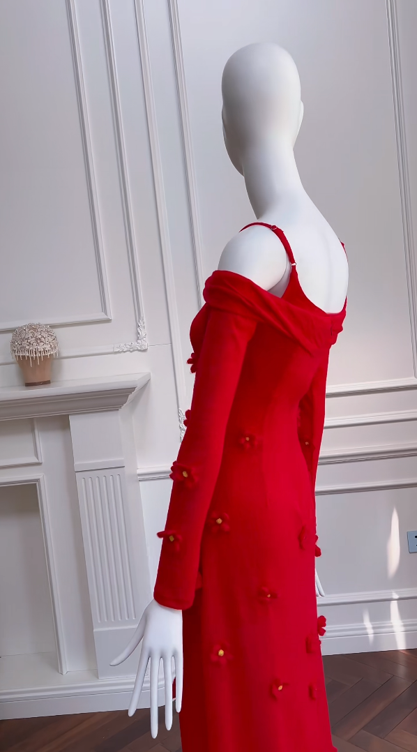 Romantic Red Prom Dress Long Sleeve Appliques A-Line Evening Dress GG5976