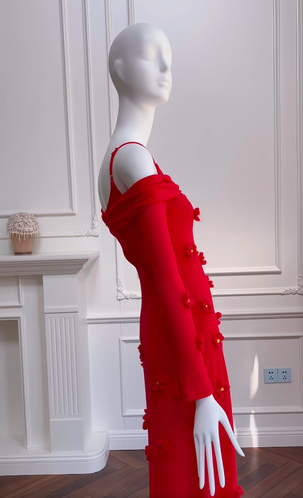Romantic Red Prom Dress Long Sleeve Appliques A-Line Evening Dress GG5976