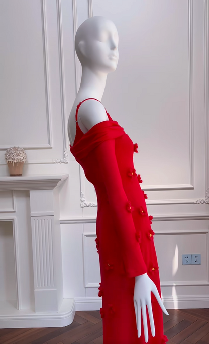 Romantic Red Prom Dress Long Sleeve Appliques A-Line Evening Dress GG5976