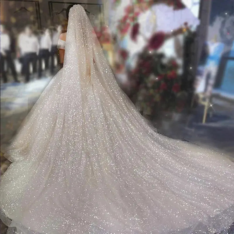 One-tier Sparkle & Shine / Hyperbole Wedding Veil Cathedral Veils with Sequin 110.24 in (280cm) Tulle dress to impress 2026